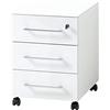 GERMANIA DIE MÖBELMACHER Germania Contenitore su ruote 4201-84 GW-Monteria, bianco, chiudibile a chiave, 40 x 55 x 50 cm (LxAxP)