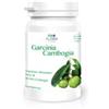 Algem Natura Garcinia Cambogia 60cpr