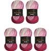 Wollbiene 5 gomitoli di lana Batik da 100 g, 500 g, con gradiente di colore, multicolore (5300 N, colore: bianco