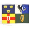 AZ FLAG Bandiera Irlanda 4 province 45x30 cm Poliestere 100D Cordini | Uso interno ed esterno bandiera decorativa irlandese Ireland 4 provinces doppie cuciture e bordi rinforzati