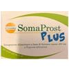 Somaprost Plus 20 Stick