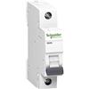 Schneider Electric Schneider a9 K02132 interruttore magnetotermico k60 N 1p, 32 a, C charakteristik, 6 KA