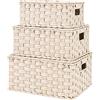 GRANNY SAYS Cestini portaoggetti con coperchio, set da 3 cestini vimini decorativi, robusti cesti con manici, cestino intrecciato per organizzare, cestino con coperchio per bagno, soggiorno, Bianco