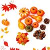 Armastuse Set di decorazioni per il ringraziamento,zucca raccolta, ghiande piccole, pigne per la decorazione della festa domestica in autunno e Halloween,70 pezzi in totale