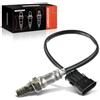 Frankberg Sensore Lambda nero 46751082 | Compatibile con: Linea 323, Idea 350, Marea 185, Delta III 844, Lybra 839, Punto Evo 199, Palio 171 178 371