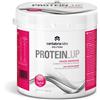DIFA COOPER SpA PROTEIN UP BARATTOLO 400G