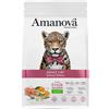 Amanova - Adult Cat Salmon Deluxe da 6 Kg