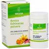 WELEDA ITALIA SRL Weleda Arnica Echinacea Polvere Dermoprotettiva 20 G
