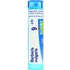 Boiron Berberis Vulgaris 9 Ch 80 Granuli 4 G