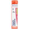 Boiron Spigelia Anthelmia 5 Ch 80 Granuli 4 G