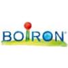 Boiron Cholesterinum 5 Ch Granuli 4 G