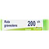 Ruta Grav BOI BOIRON® Ruta Graveolens (Boiron)*200 Ch Contenitore Monodose 1 g Globuli