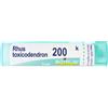Rhus Toxicod BOI Rhus Toxicodendron*200K 80Gr4G 4 g Granuli
