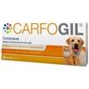 Shedir Pharma Carfogil 30cpr