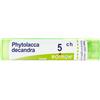 Phytolacca DE BOI BOIRON® Phytolacca Decandra 5 ch 4 g Granuli