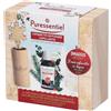 PURESSENTIEL COFANETTO DIFFUSORE CAPILLARITA' COCOONING + MISCELA COCOONING 30 ML