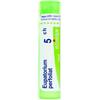 Boiron Eupatorium Perfoliatum 80 Granuli 5 Ch 4g