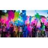 FX HOLI COLOR POWDER - 10 BUSTINE DA 80 gr POLVERE COLORATA