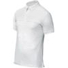 Tattini POLO CONCORSO TATTINI BAMBINO