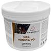 Umbria GEL ARNICA 90 (500G)