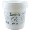 Umbria MSM (1.2 KG)