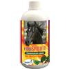 Umbria EQUISPRINT (500 ML)