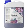 Stübben STUBBEN BRUSH ON ROSA E TÈ VERDE 2,5 L