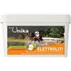 Unika ENDURANCE ELECTROLYTE (3 KG) LU0021