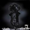 Trilly Tutti Brilli Ore Cappotto Double-Face Tessuto Damascato/Ecopelliccia Nero, XXS - 1 Prodotto