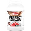 WHY SPORT PERFECT 100% WHEY 900 G CIOCCOLATO AL LATTE Proteine Isolate del Siero del