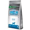 Farmina Vet Life Joint canine - Sacco da 12kg.