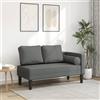 Gecheer Chaise Longue con Cuscini Grigio Scuro in Tessuto,Divani Moderni,Divano 2 Posti Moderno,Divano Imbottito,Divano per Soggiorno/Ufficio Moderno Sofà Divanetto,Divano Letto 2 Posti,L4007580