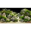 MIRRORANG 76x46cm Acquario Sfondo Roccia 3D Pietre di Roccia Erba Terrario Sfondo Decorazione Rettile Serbatoio Sfondi
