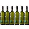 Costa Binelli 6 ORTRUGO frizzante Colli Piacentini COSTA BINELLI