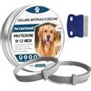 Electri-HQ 2 Pezzi Antiparassitario Per Cani,Collare Antipulci per Cane,Realizzato Con Oli Essenziali Naturali, Sicuro ed Efficace, Universale per Cani e Gatti,Protegge per 12 Mesi (cani di grossa taglia)