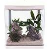 AquaOne Set completo per acquario a LED con pompa HR-230, bianco, piccolo nano acquario, 7 litri, mini mini bacino nano per pesci e gamberetti