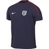 Nike Men's Top Ent M Nk DF Strk SS Top K, Purple Ink/Rosewood/White, FJ2919-555, L