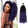 S-noilite Capelli Ricci Intrecciati, Estensioni per Capelli Marlybob Crochet Braids 35CM Water Wave Afro Kinky Jerry Curl Pre Stirato Treccia Parrucca, 1 Pack 100g,Dal nero al blu viola