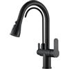 JUNSHENG Rubinetto Cucina 3 Vie Rubinetto Lavello Cucina Con Filtro Per L'acqua Acqua Rubinetto da Cucina 3 in 1 Con Doccetta Estraibile,Colore Nero, Oro…