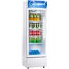 Vetrina Frigo Bibite Positivo Ventilato - Ax255rg - Tn 235 Litri - Temp. +0 °c/+10 °c - Dim. Cm L53,5xp53,1xh175,2