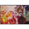 Wash+Dry tappeto Colour Blast 50x75cm, adatto per interni ed esterni, lavabile