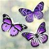 Fiada 6 Pezzi di Adesivi Magnetici a Farfalla per Porte a Zanzariera a Doppio Lato Magneti Flessibili Decorativi Multicolori per Zanzariera Magnetica Frigorifero e Porte Scorrevoli(Viola,Stile carino)