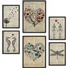 Nacnic set di 6 poster in stile vintage. Raccolta di fogli con illustrazioni e definizioni di dizionario per la decorazione d'interni. Formati A3 e A4. Senza cornice.