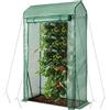 HOMASIS Serra in pellicola con porta avvolgibile, 100 x 50 x 170 cm, piccola serra da giardino per piante, serra in polietilene e metallo, casetta da giardino per giardino, balcone, terrazza (verde)