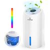 Dreamhigh® 1.6L Deumidificatore Casa, Spegnimento Automatico e Luce LED Colorata, Ultra Silenzioso, Per Max 35㎡, Deumidificatore per Camera da Letto e Armadio-650ML/Giorno