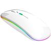TEEKU Mouse wireless ricaricabile con illuminazione a LED, silenzioso, 2,4 G, mouse wireless (bianco, taglia unica)