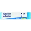 Boiron Hypericum Perforatum 9CH Globuli 1 g