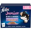 FELIX Così come sembra junior cibo umido in gelatina, mix di varietà, confezione da 6 (6 x 12 sacchetti da 85 g)