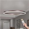 YYUTLUO Lampadario LED Moderno DIY Cerchio | 1 Marrone Anelli :60cm=29W | Illuminazione A Sospensione LED In Metallo+Acrilico Telecomando Dimmerabile Lampada Sospensione Soffitto Rotondo Soggiorno