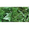 BIACCHI ETTORE SRL EDERA 1X3 SEMPRE VERDE